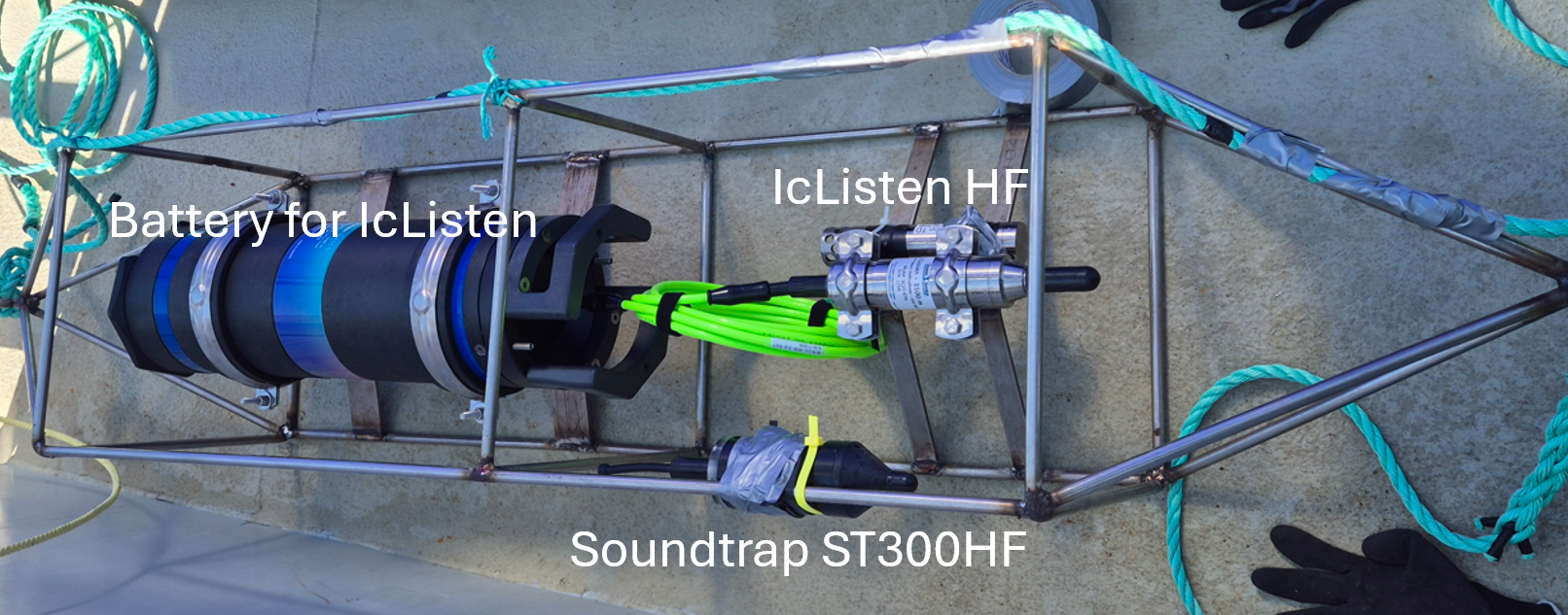 Hydrophone rig in the centre of the bay. The IcListen hydrophone required a large battery pack which was mounted in a steel frame. A sound trap hydrophone was also mounted on the frame. A depth logger (Starmon TD) is attached next to the IcListen hydrophone