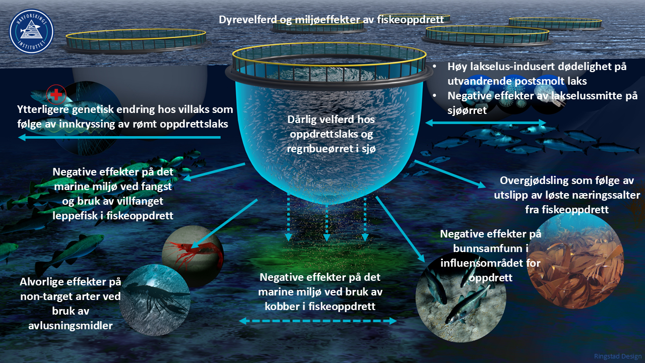 Figuren er en illustrasjon av de ni overordnede uønskede hendelsene som er gjengitt i teksten over. Figuren viser oppdrettsmerder i sjø og illustrasjoner under vann, der hver av de ni hendelsene er listet over bilder/illustrasjoner som representerer 