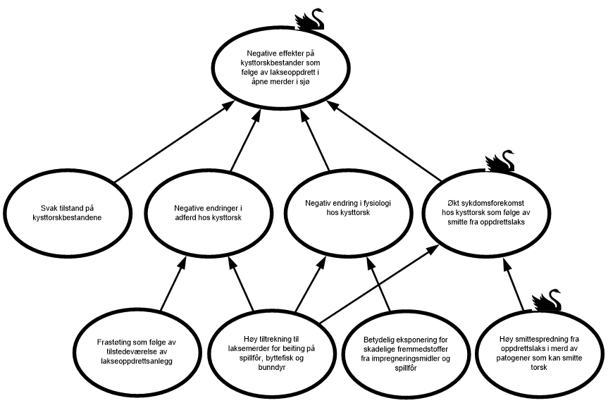 Visualisering av risikokilder og hendelser som kan medføre «Negative effekter på kysttorskbestander som følge av lakseoppdrett i åpne merder i sjø».