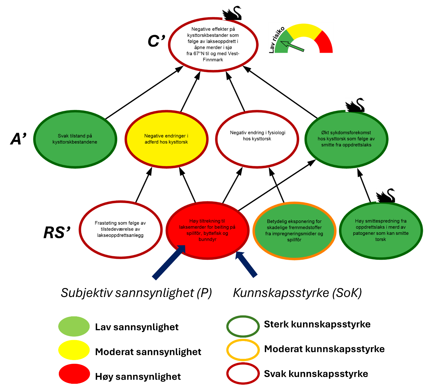 Eksempel på visualisering av risiko i et område. Risikokartet består av risikokilder (RS’), hendelser (A’) og konsekvenser (C’) på ulike kausale nivå med fargekoder som uttrykk for subjektiv sannsynlighet og kunnskapsstyrke.