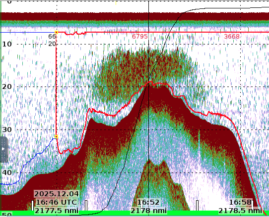 Ekkogram av brislingstim