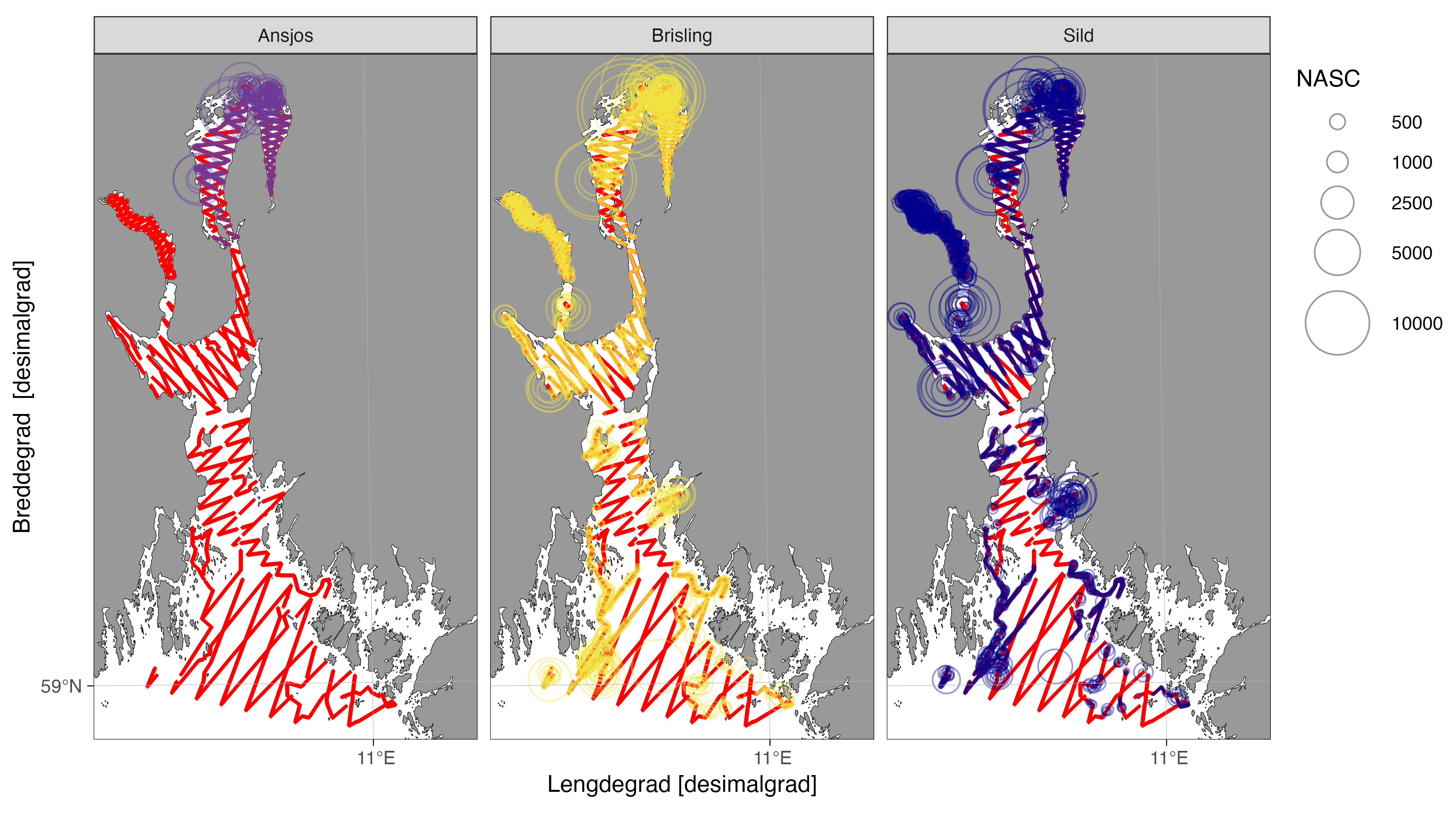 Akustisk tetthet av ansjos, brisling og sild etter SplitNASC metoden. 