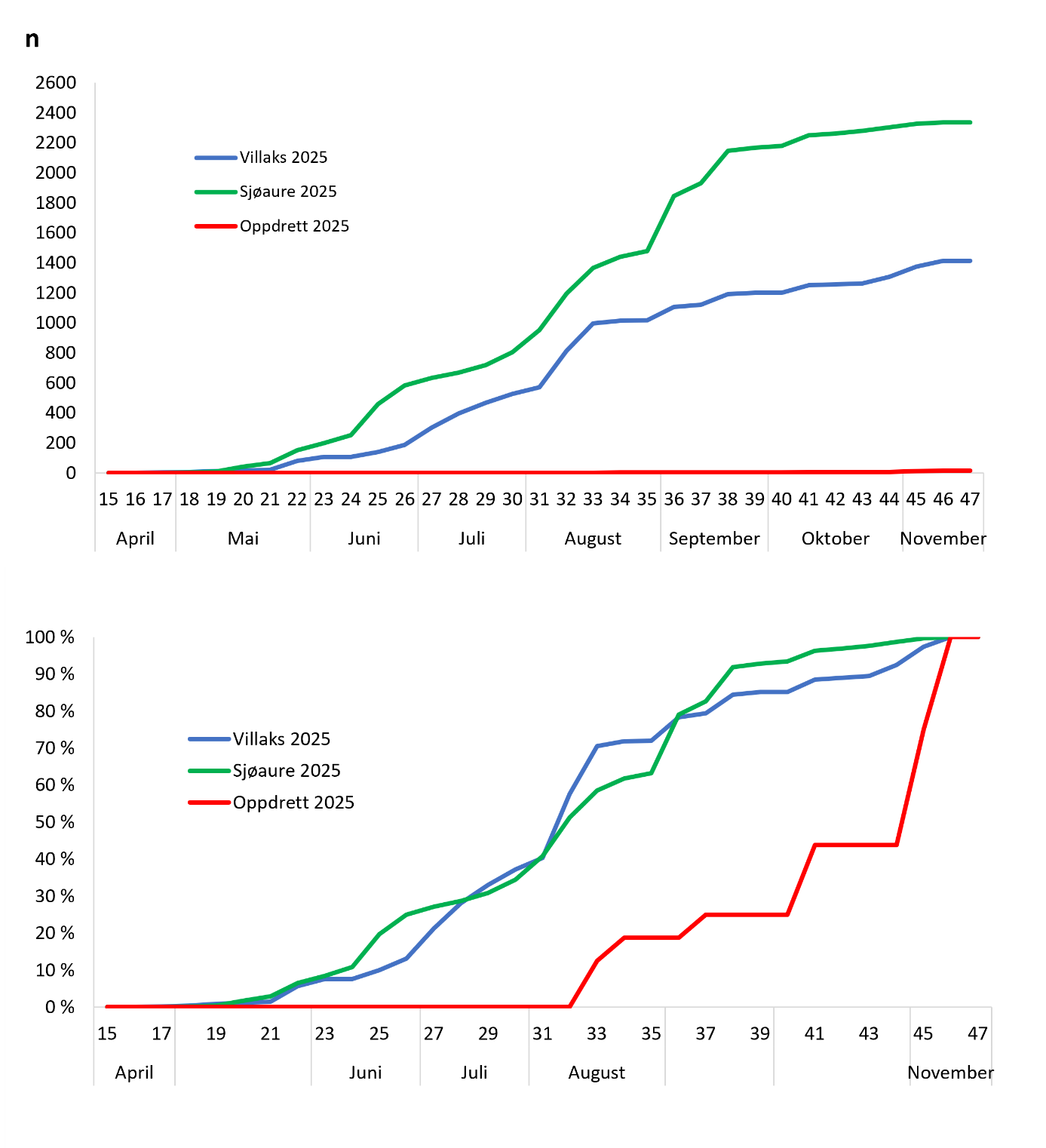 Figur 3 Kumulativ oppvandring av vill og rømt laks og sjøaure per veke i fella i 2025, absolutt tall (øvst) og prosentvis (nedst). Cumulative upstream migration of escaped and wild salmon, and sea trout captured in the fish trap per week in 2025.