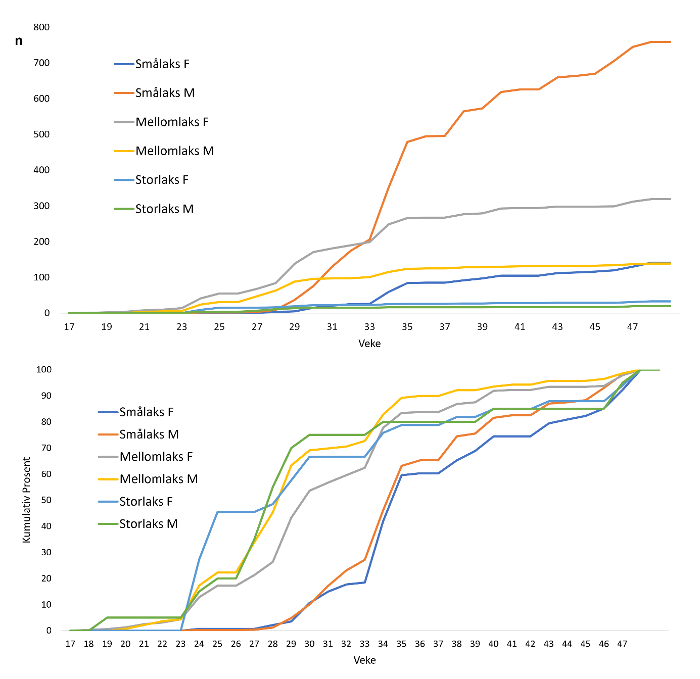 Figur 4 øvst: Kumulativ oppvandring av villaks i 2025 fordelt på kjønn og storleiksgrupper (F=Hofisk, M=Hannfisk), absolutt tal (øvst) og prosentvis (nedst). Cumulative upstream migration of wild salmon by sex and size-group (F=female, M=Male), absolute numbers