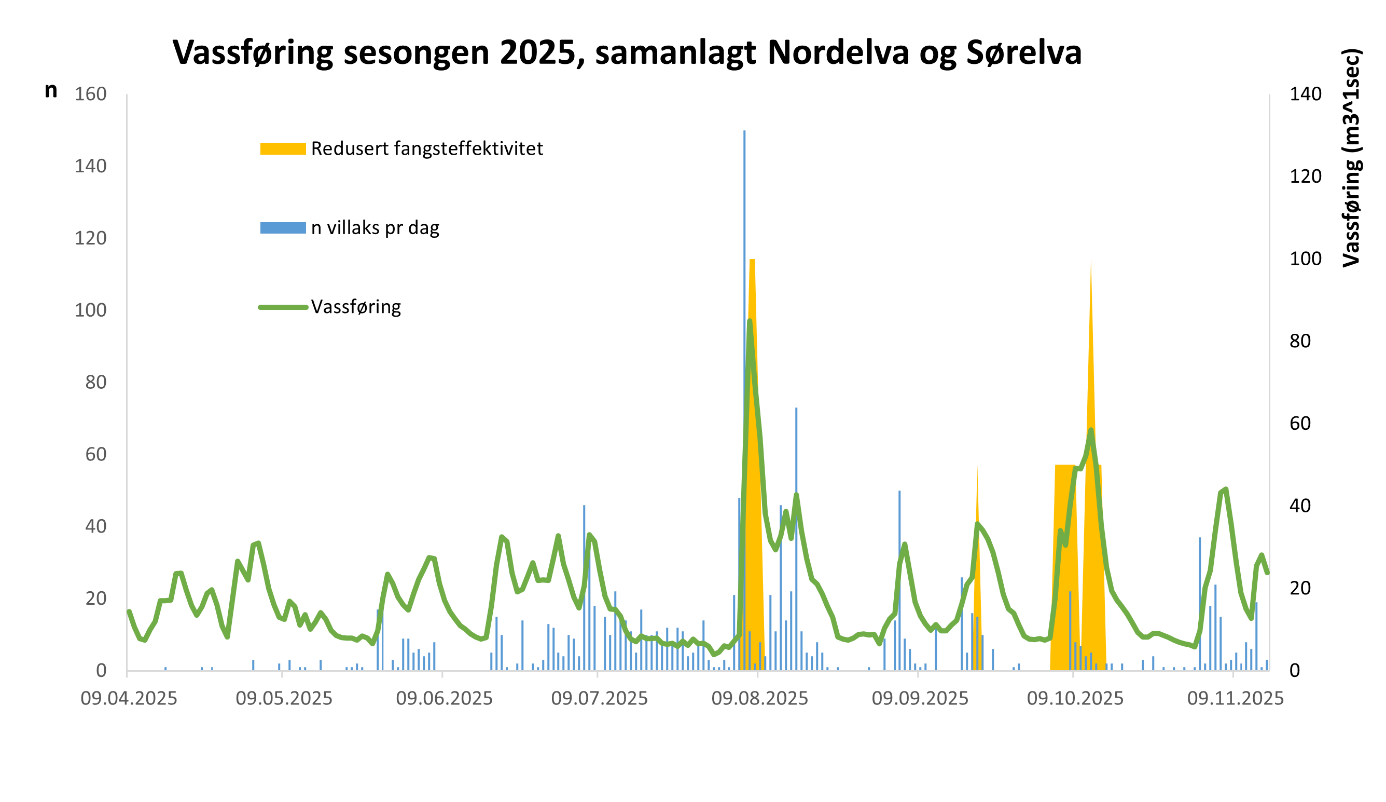 Figur 2 Vassføring i 2025 med dagleg oppgang av villaks. Water discharge in 2025 with the daily migration of salmon.