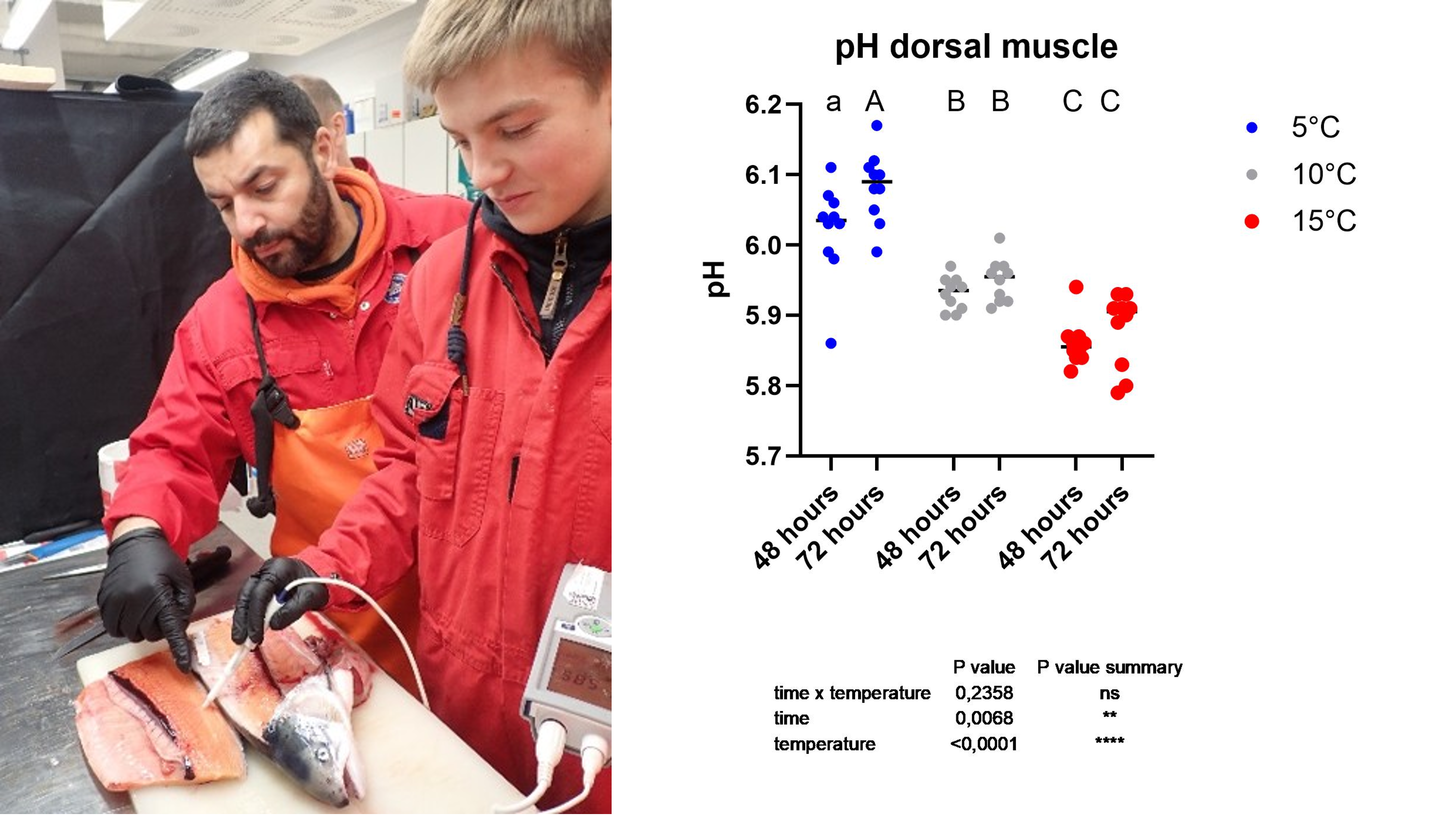 Figure 13m