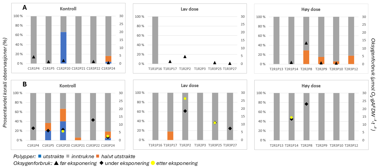 Sekundær y-akse oksygenforbruk, fra 0 til 30. 