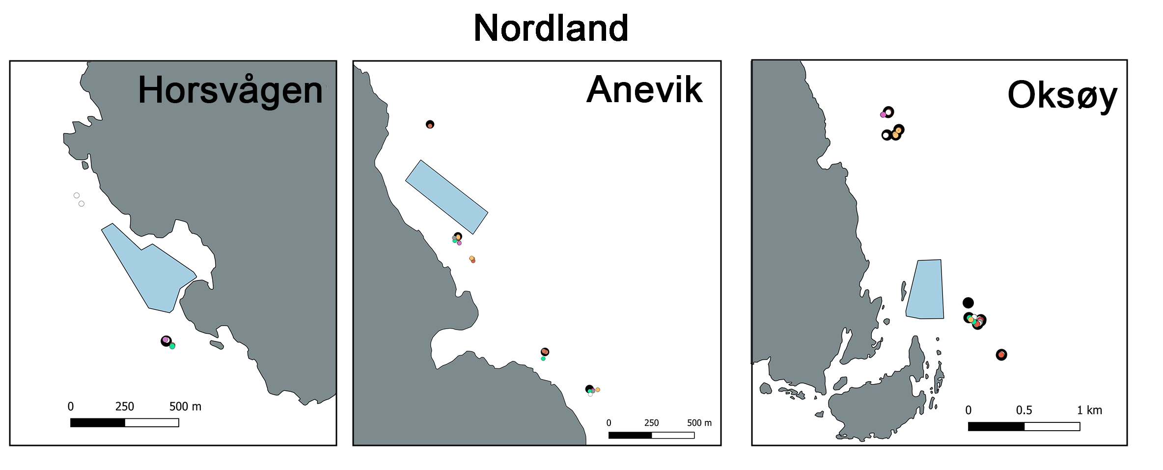 Tre kartutsnitt «Nordland» med oppdrettslokalitetene fra venstre til høyre: Horsvågen, Anevik og Oksøy. Prøvetakingspunkter fargede eller svarte. Anleggene skissert i blått.