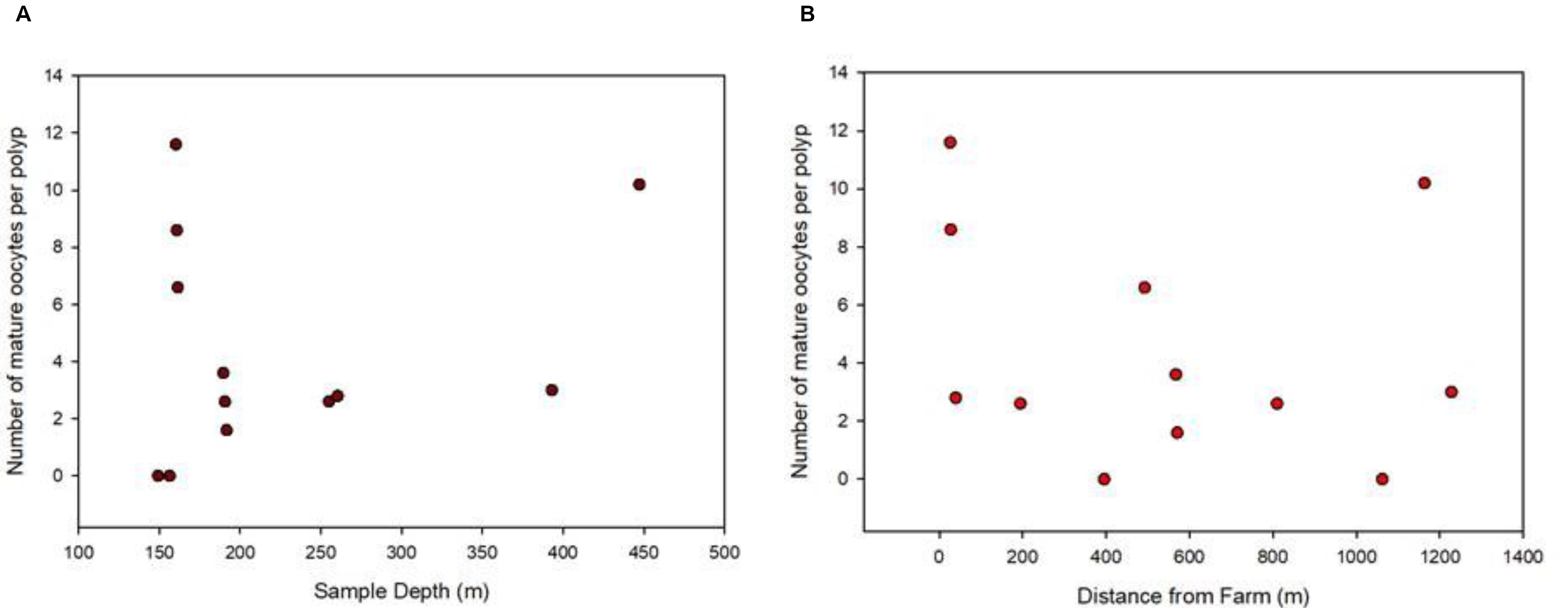 To punktdiagram, y-aksene «Number of mature oocytes per polyp» fra 0 til 14. A: X-aksen «Sample depth (m) fra 0 til 500 og B: x-aksen «Distance from farm (m)» fra 0 til 1400.