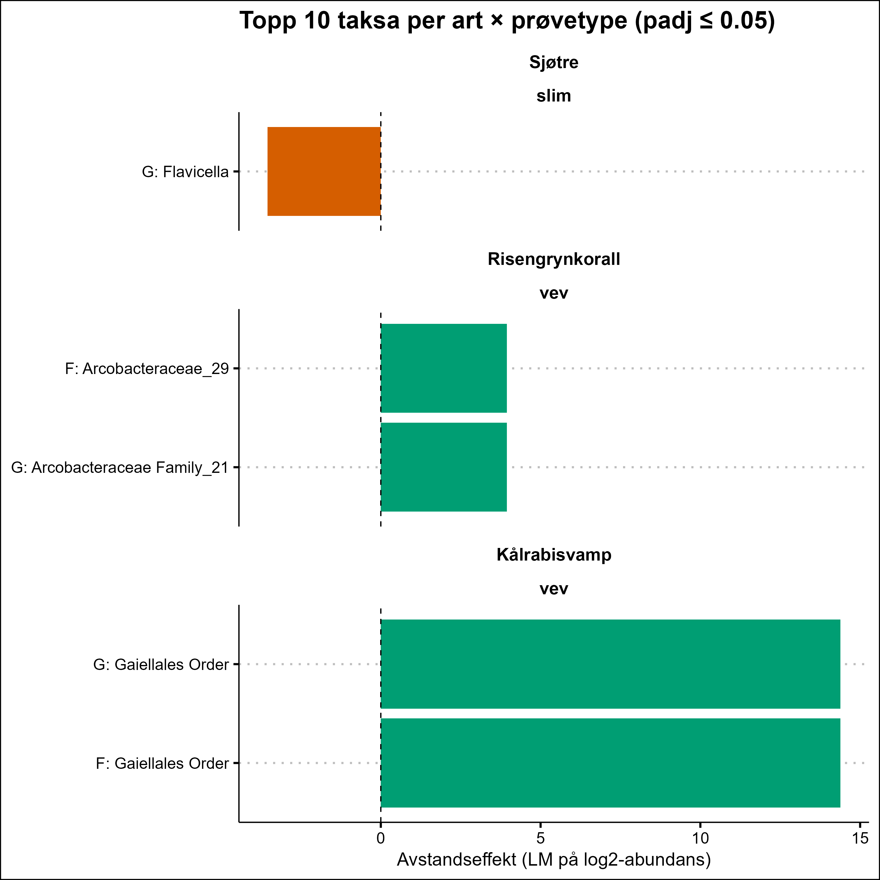 Sjøtre slim øverst, deretter risengrynkorall vev i midten og kålrabisvamp vev nederst. 