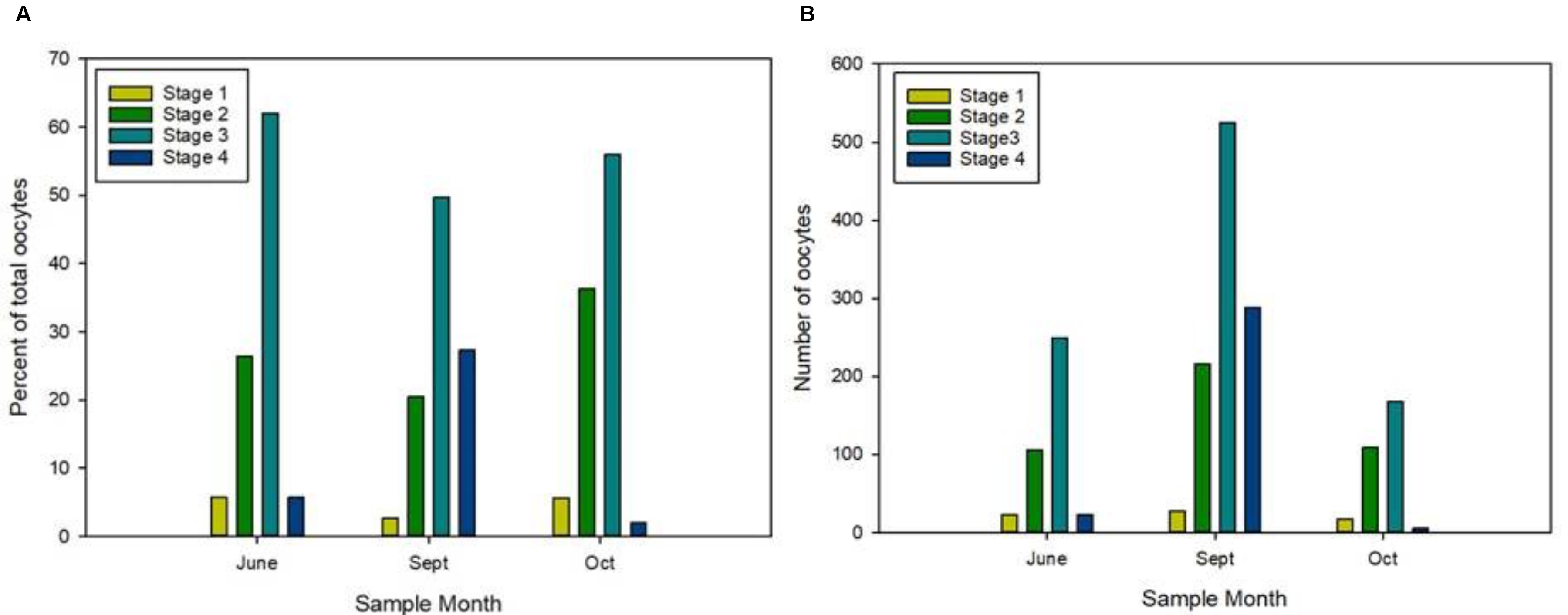 To stolpediagram, x-aksene «Sample month» Juni, Sept og Oct. Y-aksene A: Percent of total oocytes fra 0 til 70 og B: Number of oocytes fra 0 til 600. Fargeskala på stolpene gitt øverst til venstre i begge diagram: fra Stage 1 (gul), 2 (grønn), 3 (petroleum) og Stage 4 (mørk blå). 