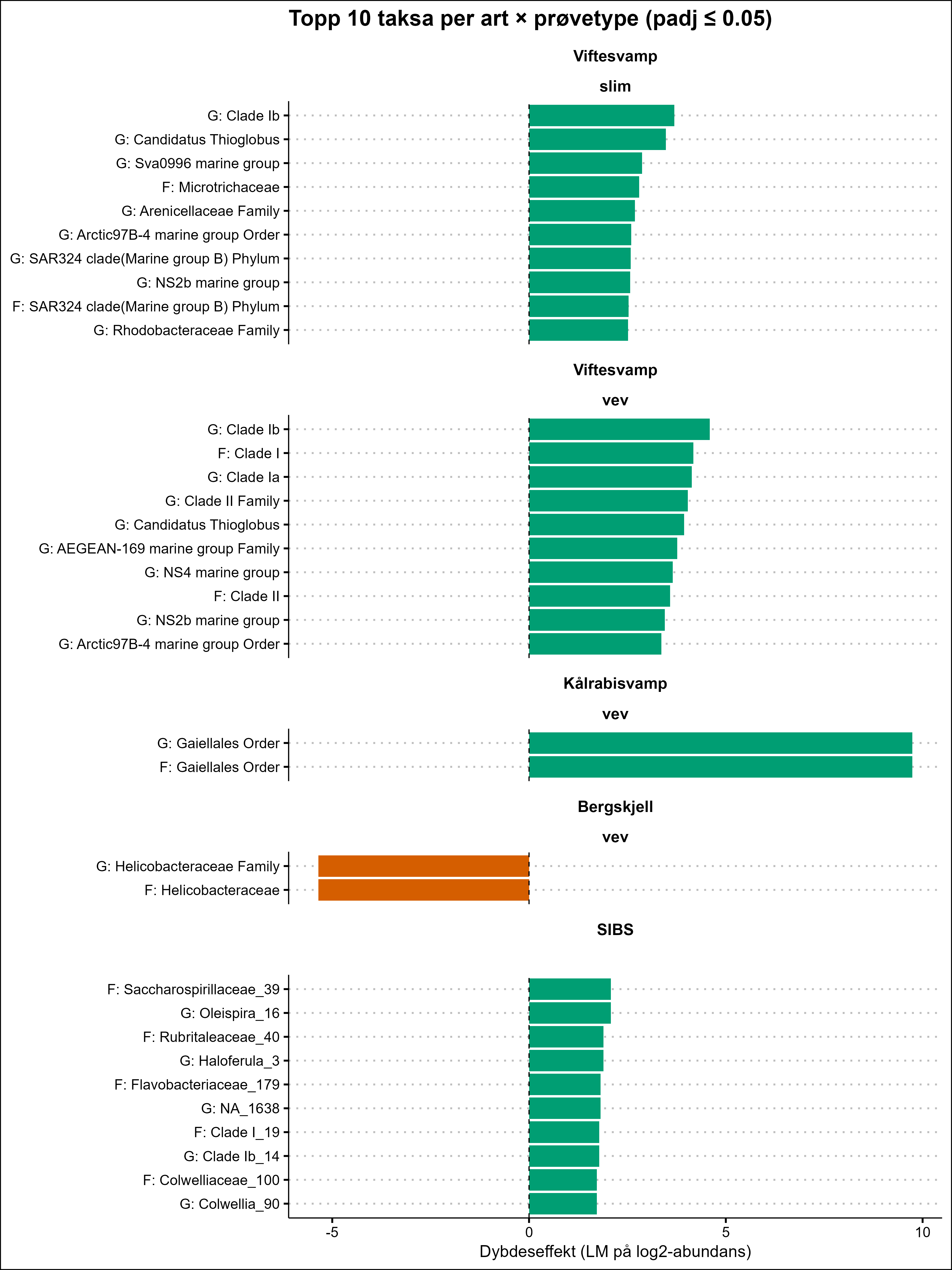 Viftesvamp slim øverst, deretter viftesvamp vev, kålrabisvamp vev, bergskjell vev og SIBS nederst. 