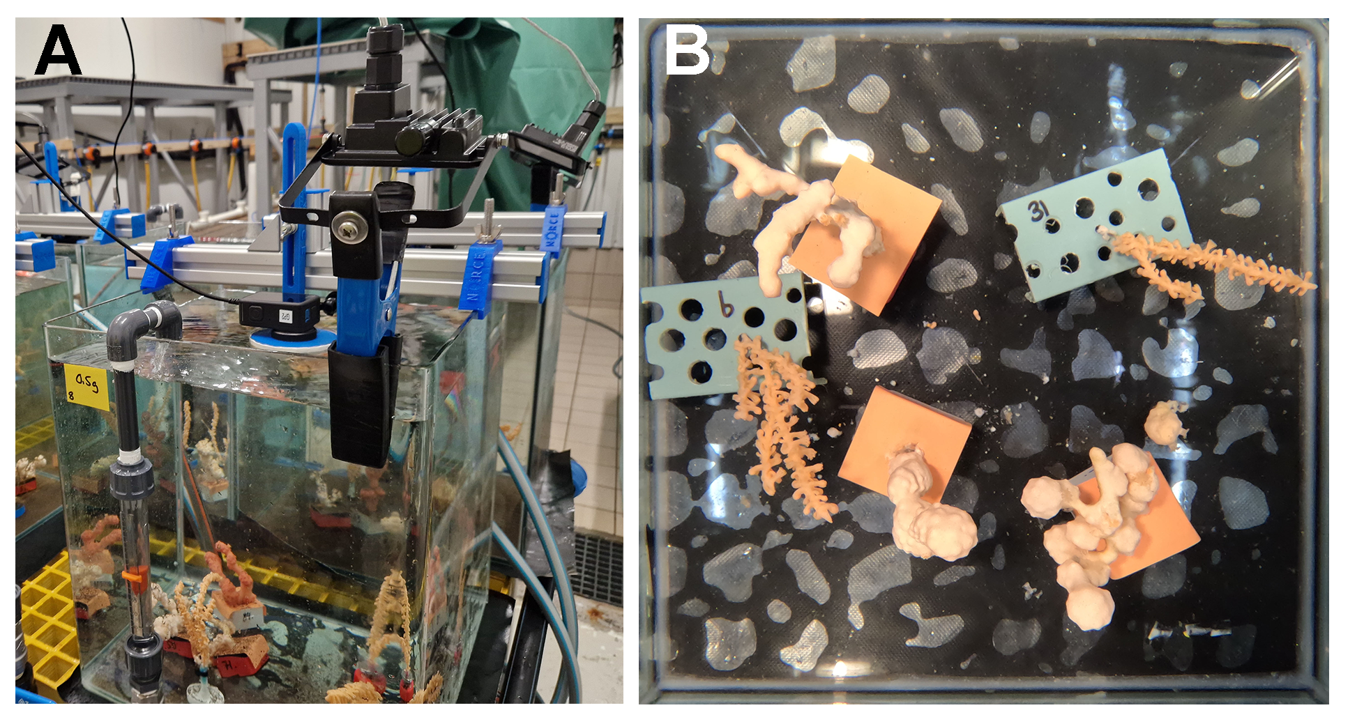 Bilde A viser oppsettet sett utenfra med laboratoriet i bakgrunnen. Bilde B er eksempel på bilde tatt ovenfra ned i ett av karene. 