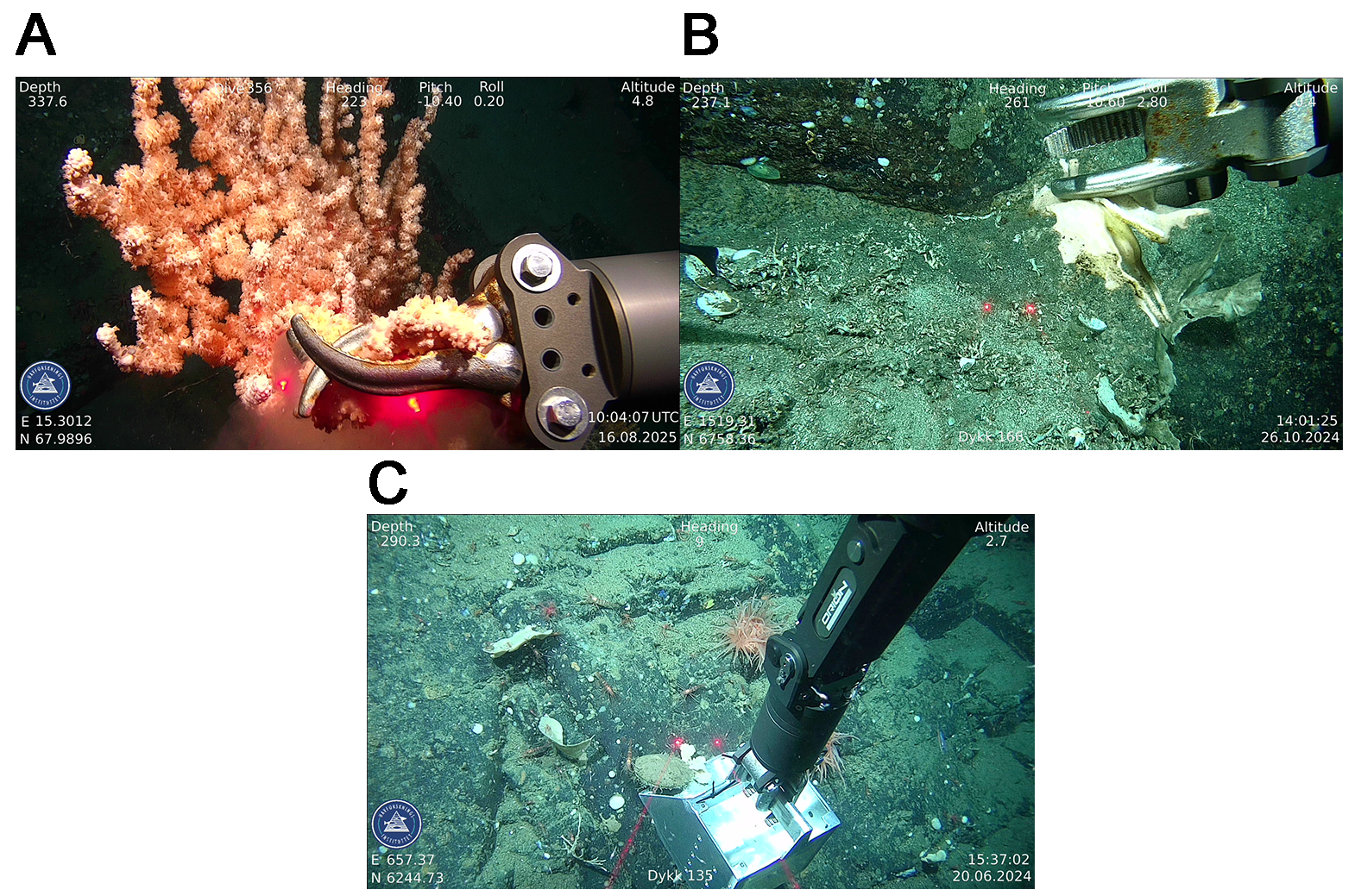  Tre bilder, A og B øverst, og C under. I alle bildene er HI sin logo og koordinater i nederste venstre hjørne, klokkeslett og dato i nederste høyre hjørne, og Dykk + nummer nederst i bildet. Øverst i bildene er dybde og annen dykkinformasjon.