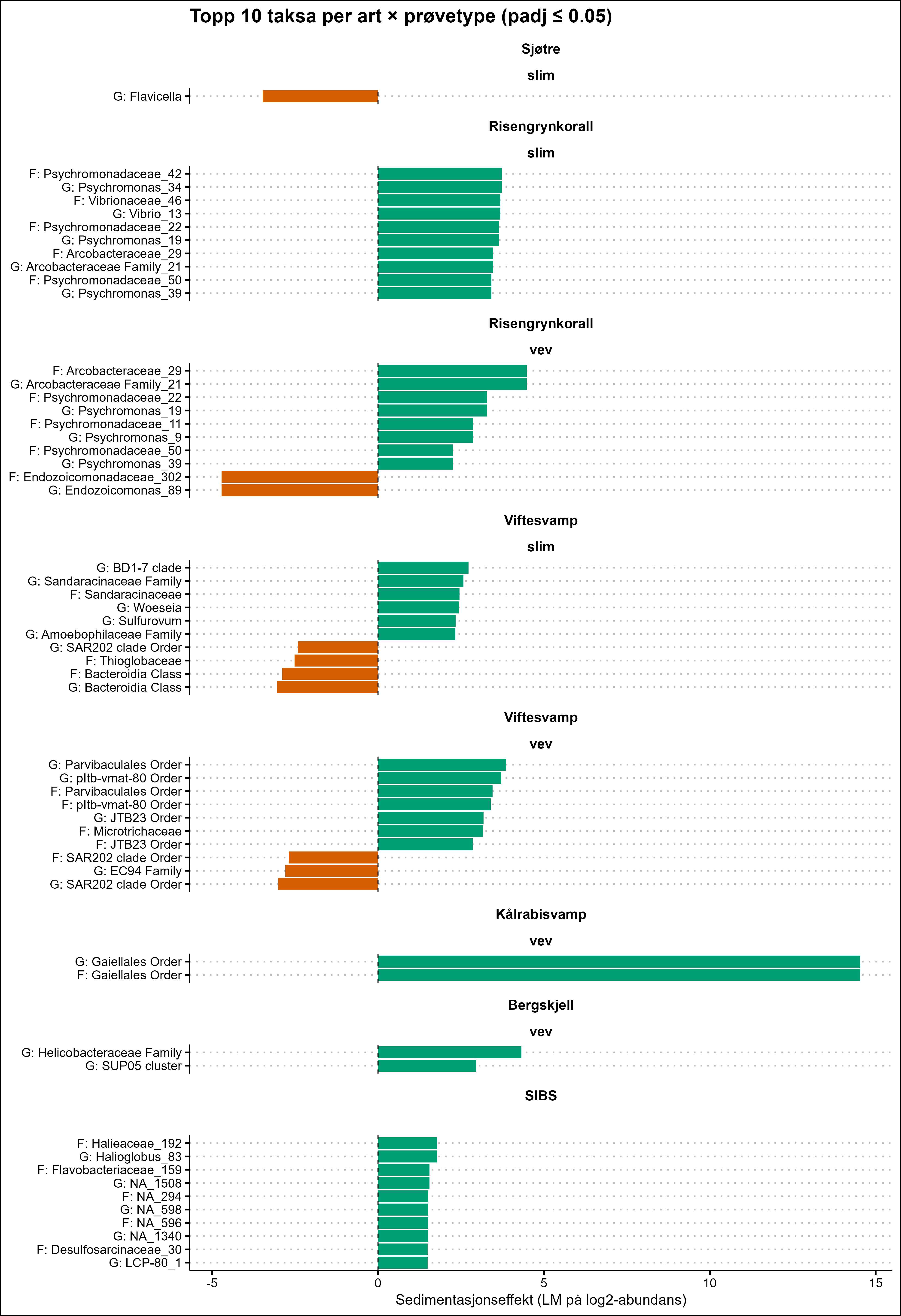Risengrynkorall slim øverst, deretter risengrynkorall vev, viftesvamp slim, viftesvamp vev, kålrabisvamp vev, bergskjell vev og SIBS nederst.