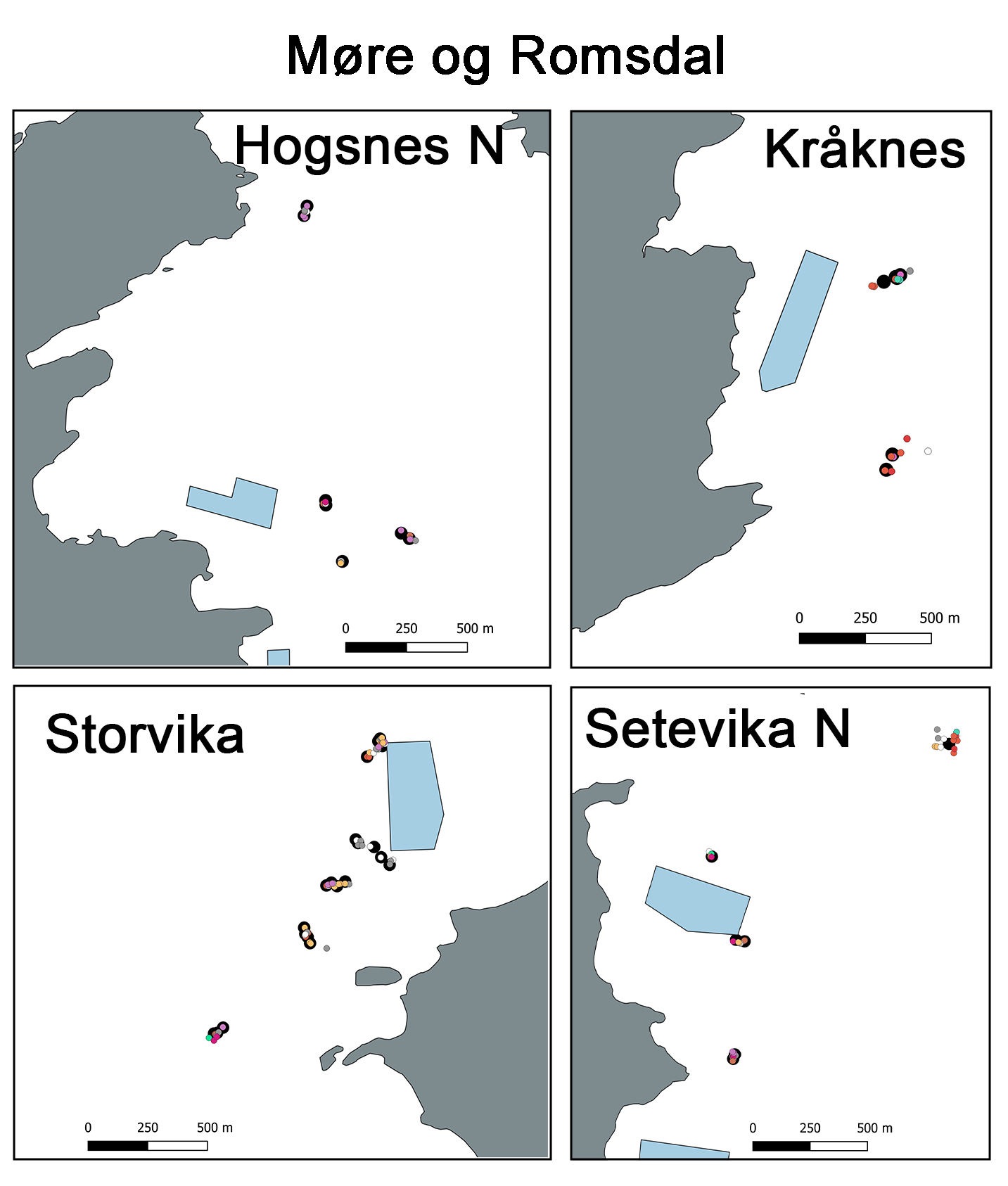 Fire kartutsnitt «Møre og Romsdal» med oppdrettslokalitetene fra øverst til venstre: Hogsnes N, Kråknes, Storvika og Setevika N nederst til høyre. Prøvetakingspunkter fargede eller svarte. Anleggene skissert i blått.