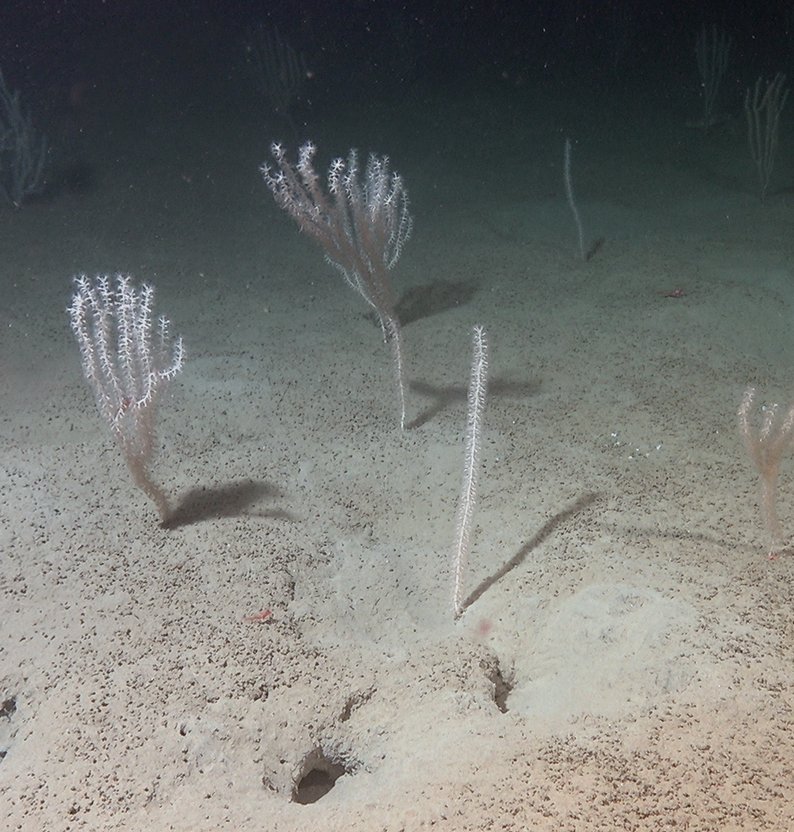 
R3668VL3750 still a b B