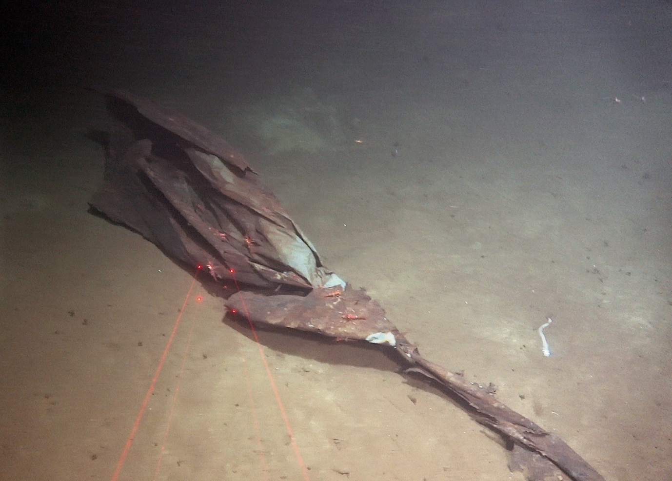 Foto som viser et eksempel på plastsøppel på stasjon R3314 på 622 m dyp i Skagerrak. 