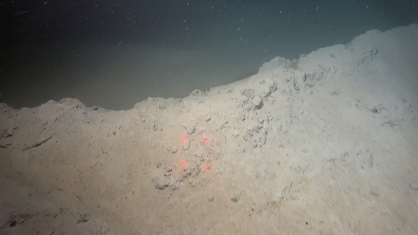 Foto som gir et eksempel på trålspor observert på stasjon R3351, kystbelte Skagerrak, 245 m dyp.