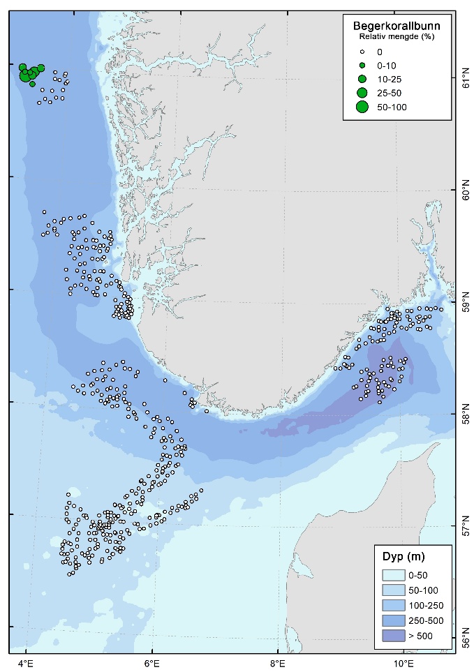 Kart over lokaliteter dominert av Flabellum macandrewi (en frittlevende begerkorall). Den relative mengden av habitatet er angitt som størrelse av punktene.