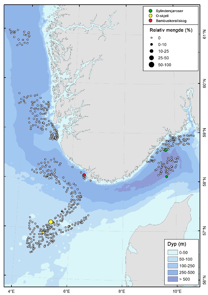 Kart over forekomster av tre mindre vanlige sårbare habitater dominert av sylindersjørose, O-skjell, og bambuskorall (Isidella lofotensis). De tre sårbare habitatene er angitt som punkt med ulik farge. Størrelsen angir relativ mengde.
