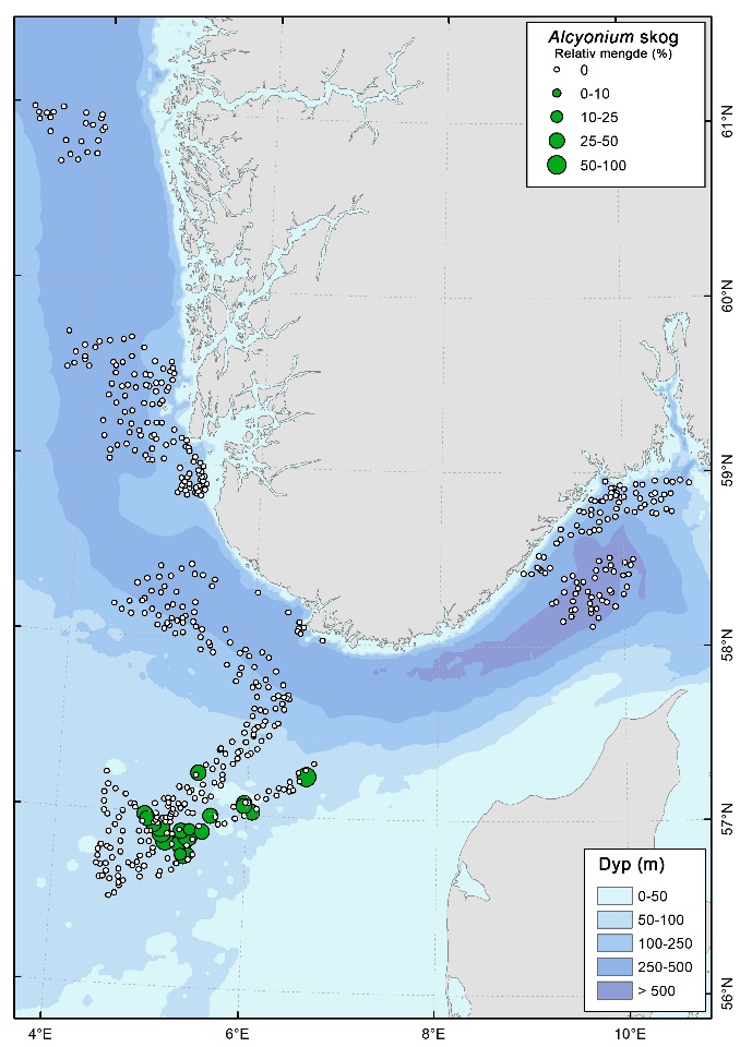 Kart over lokaliteter dominert av Alcyonium digitatum (dødmannhånd). Den relative mengden er angitt som størrelse av punktene.