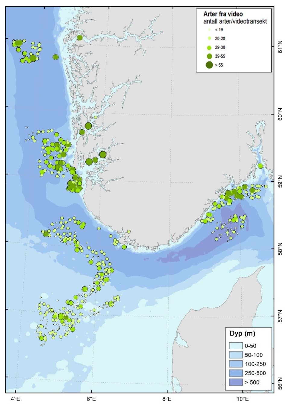 Kart som viser antall taxa observert per videostasjon. Antallet er indikert med størrelse av punktene. 