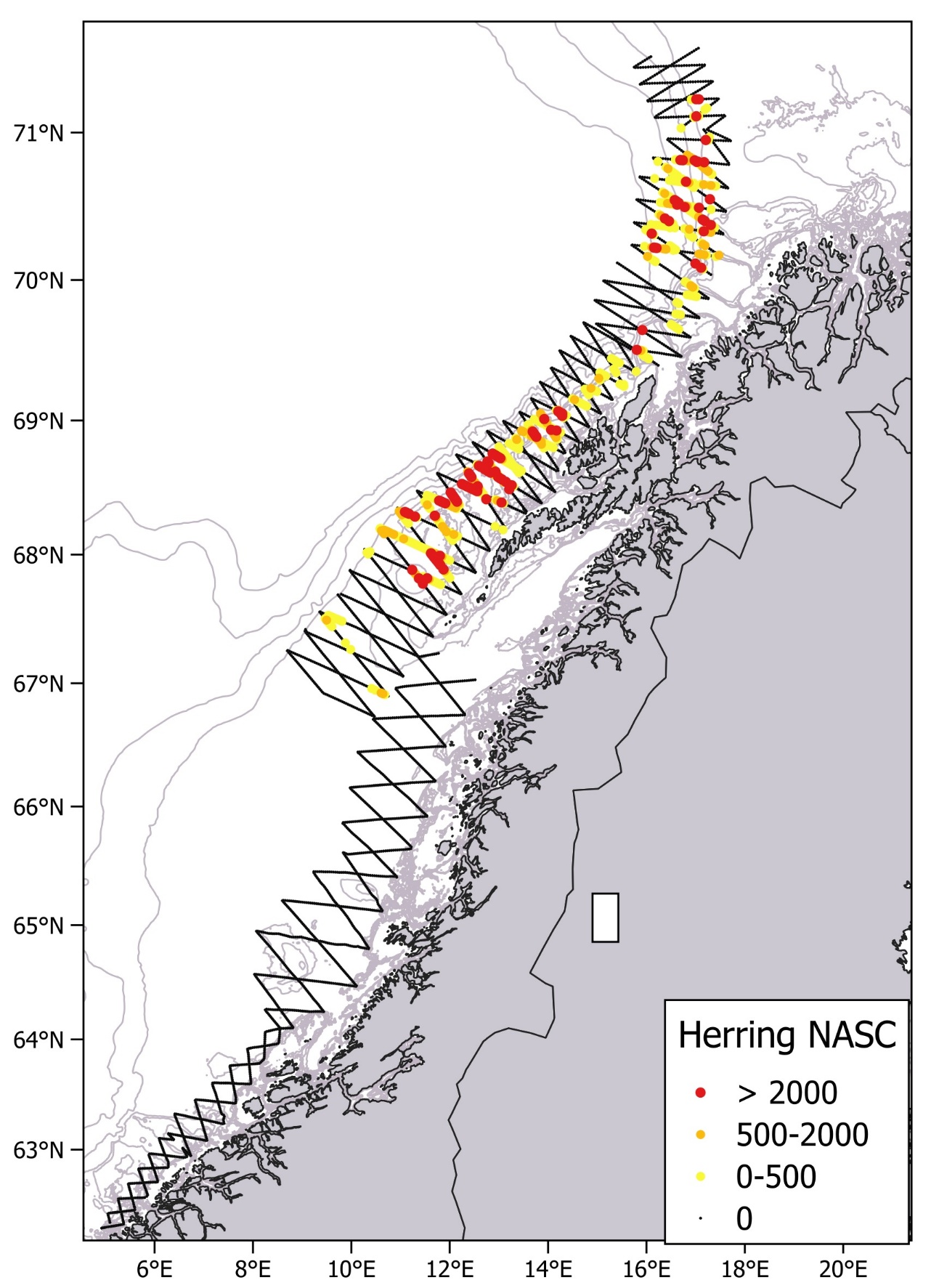 Acoustic densities (NASC) of herring recorded during the Norwegian spring-spawning herring spawning survey 12.-25. February 2026. Points represent NASC values per nautical mile. Depth contours are shown for 50 m, 100 m, 150 m, 200 m, 500 m, 1000 m, 1500 m and 2000 m.