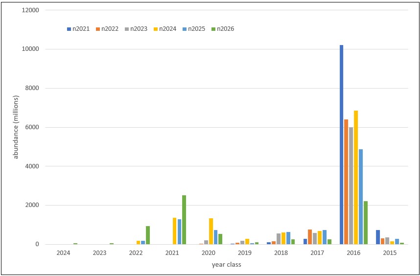 Abundance by year class estimated during the Norwegian spring-spawning herring spawning surveys 2021-2026 (mean of 1000 bootstrap replicates). Legend: Separate color for each survey year.