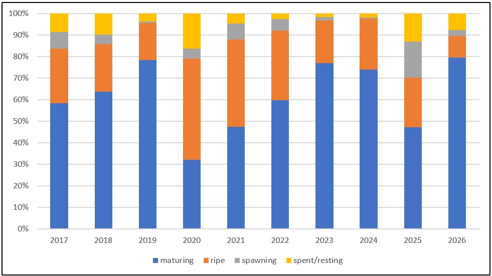 Proportion of the different maturity stages among mature herring in samples from the Norwegian spring-spawning herring spawning surveys in 2017-2026.