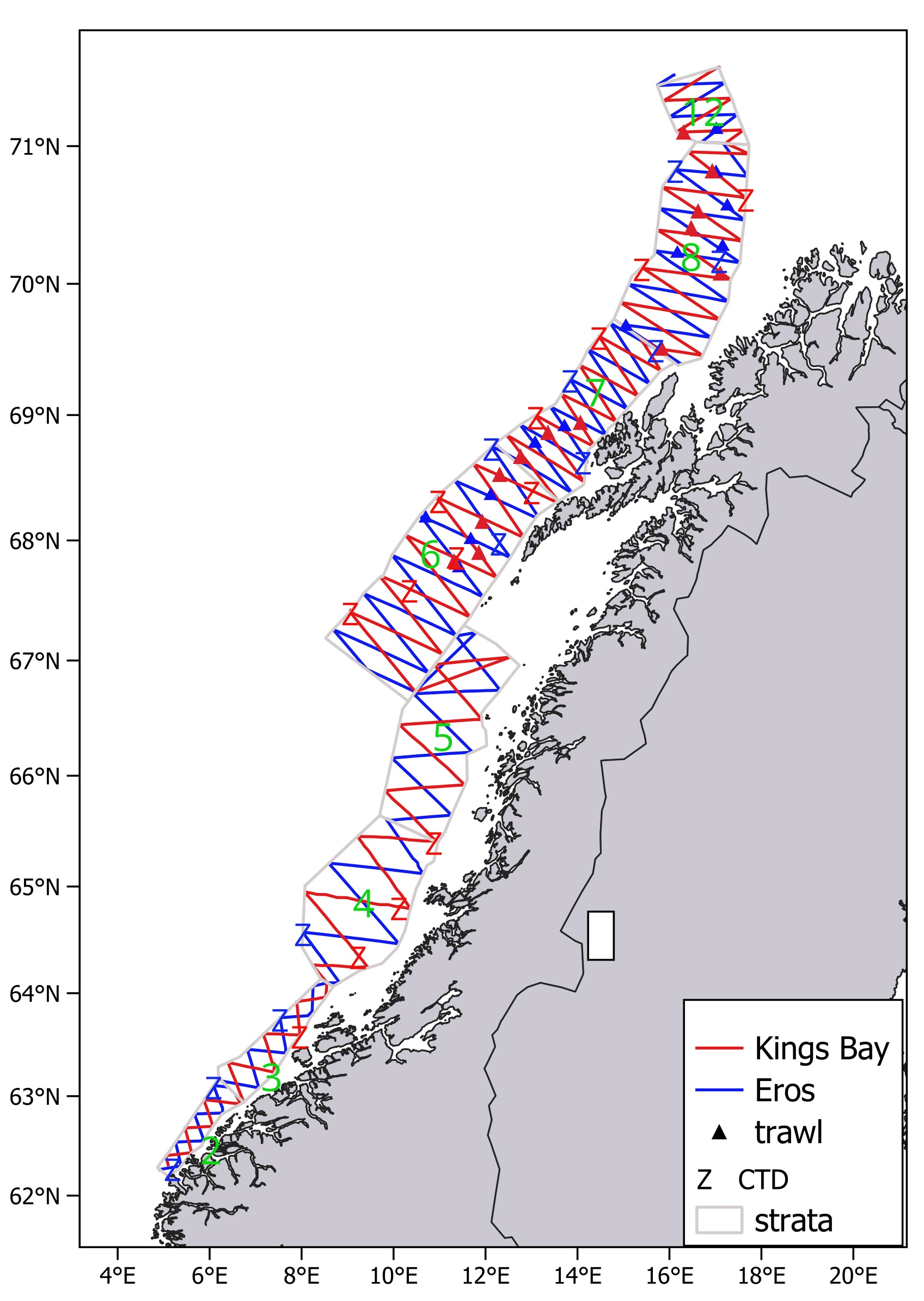 Cruise tracks (mostly acoustic transects), pelagic trawl stations (triangles), and CTD stations (Z) covered by Eros and Kings Bay on the Norwegian spring-spawning herring spawning survey 12.-25. February 2026. The strata are shown as grey polygons with green numbers.