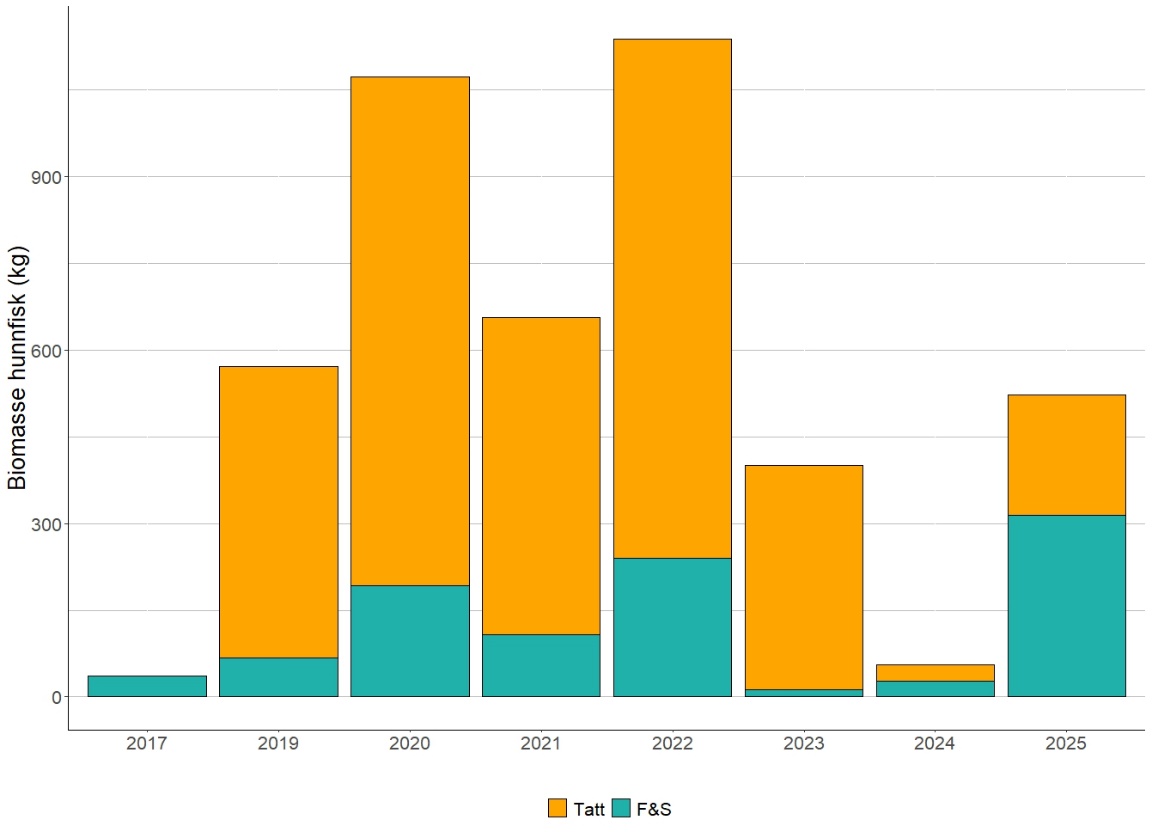 Figur 12 Antall rapporterte biomasse av hunnlaks fanget under sportsfiske fra 2017 til 2025. Merk at i 2024 ble fiskesesongen stengt tidlig. F&S er fang og slipp, tatt er fiskene som er avlivet. Data fra elveguiden.no.