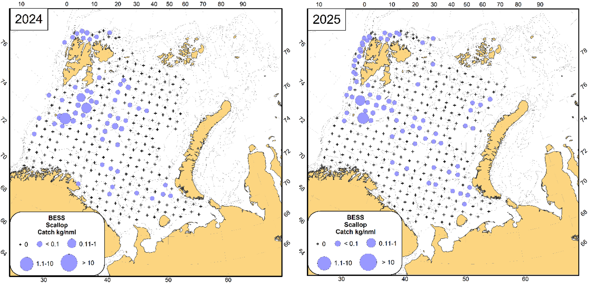 Figure 10.4.1. Distribution of Pectinida (catch, kg/nm) in the Barents Sea, 2024–2025.