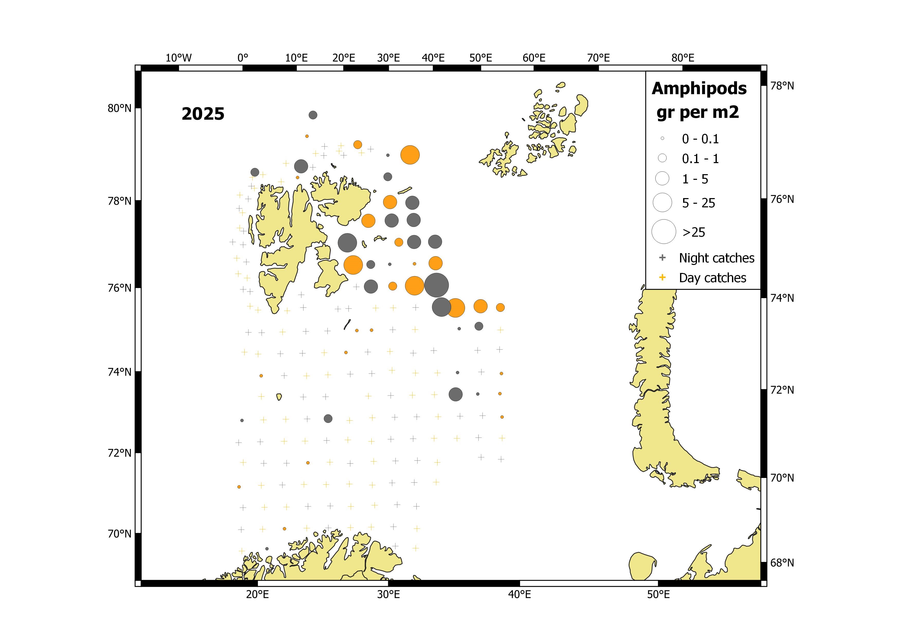 Figure 5.3.2.1. Amphipods distribution, based on trawl stations covering the upper water layer (0-60 m), in the Barents Sea in August-October 2025.