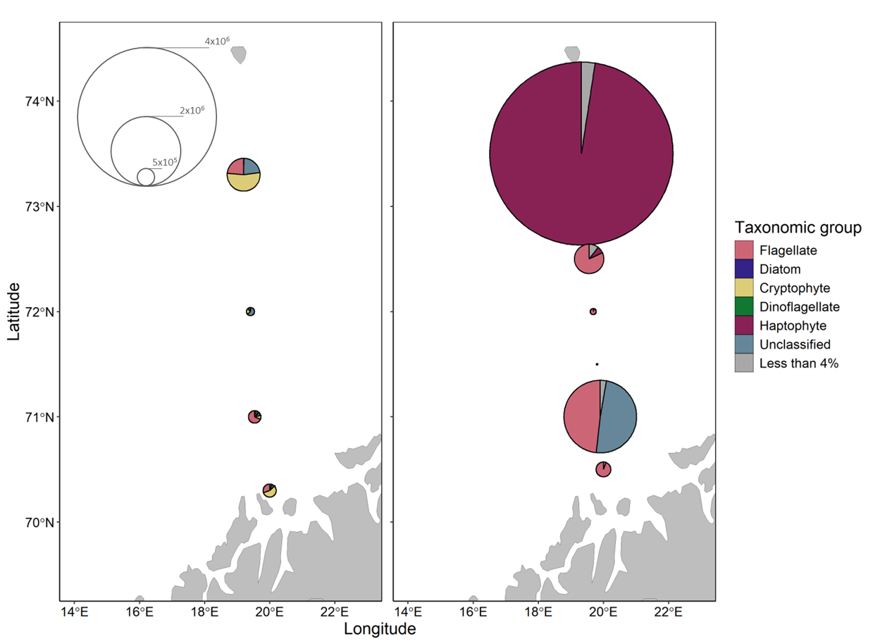 Figure 5.1.4. Maps showing microplankton community composition and abundance for samples collected along the Fugløya-Bjørnøya transect in the Barents Sea. Samples were collected in April (left) and June (right). Divisions within pie charts show the contributions from broad taxonomic groups. Pie chart radii scale to cell concentrations in cells per liter based on key on the left. All groups which comprised < 4% of the community are summed.
