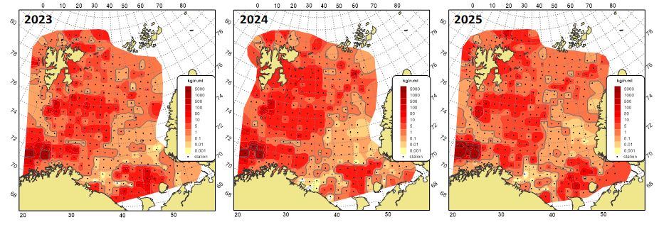 Figure 11.3.2. The biomass distribution of megabenthos (excluding Pandalus borealis) in the Barents Sea in August- October 2023, 2024 and 2025.