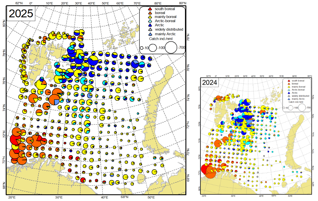 Figure 9.4.1. Distribution of non-commercial fish species from different zoogeographic groups during the ecosystem survey 2024 and 2023. The size of circles corresponds to total abundance (individuals per nautical mile, only bottom trawl stations were used, both pelagic and demersal species are included).
