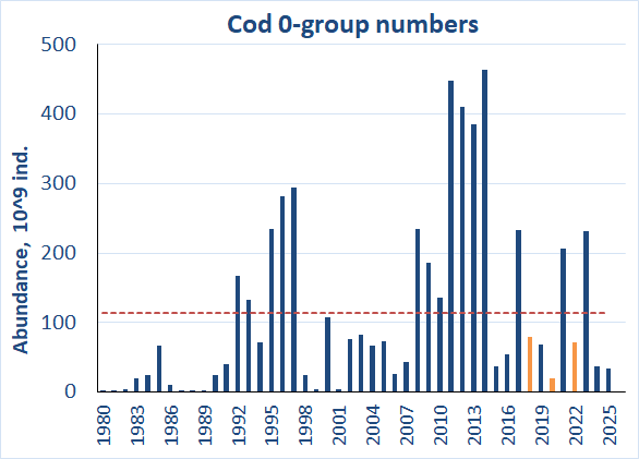 Figure 6.2.2. 0-group cod abundance estimates corrected for capture efficiency (Keff) for the period 1980-2025. Red line shows the long-term average. Abundance indices for 2018, 2020 and 2022 were corrected for lack of coverage and shown by orange columns.