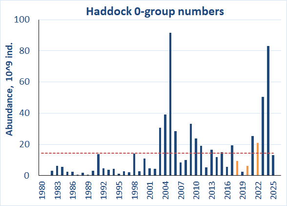Figure 6.3.2. 0-group haddock estimates corrected for capture efficiency (Keff) for the period 1980-2025. Red line shows the long-term average. Abundance indices for 2018, 2020 and 2022 were corrected for lack of coverage and shown by orange columns.