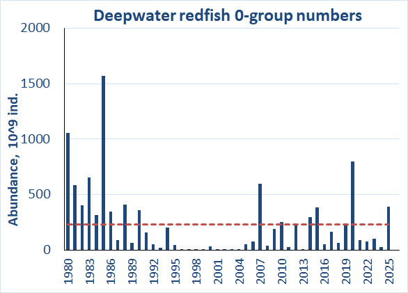 Figure 6.7.2. 0-group deepwater redfish abundance corrected for trawl efficiency (Keff) in the Barents Sea during 1980-2025. Red line shows the long-term average.