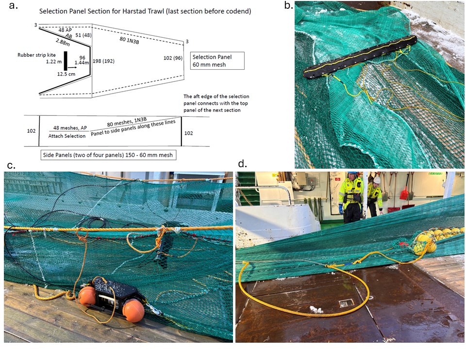 Bilder av ActSel seleksjonssystem. 
