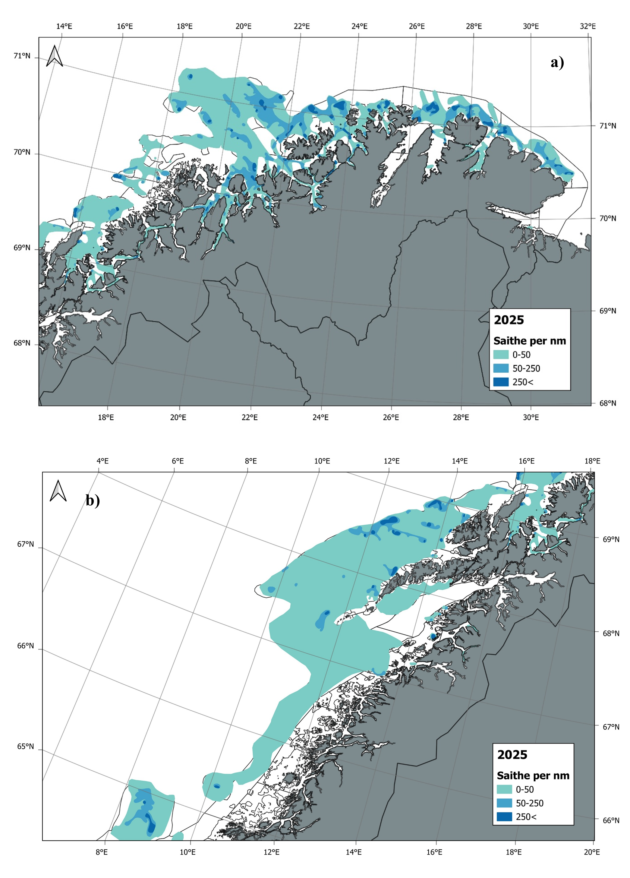 LSS tolkning for sei