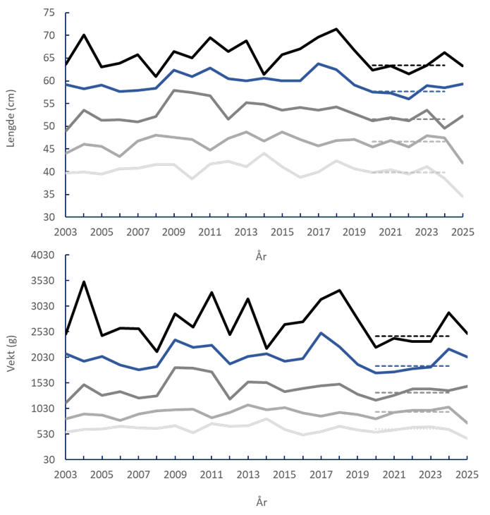 Gjennomsnittslengde og vekt for 3 til 7 åringer for perioden 2003 - 2025.  Gjennomsnittslengde og vekt for perioden 2020-2024 vises som stiplede linje. 