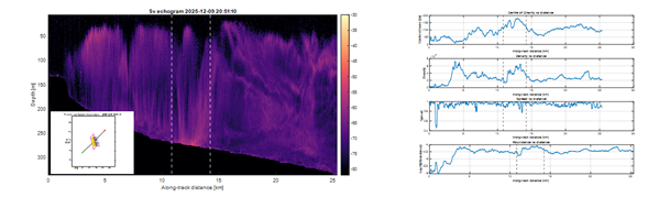 (b) transect T5).
