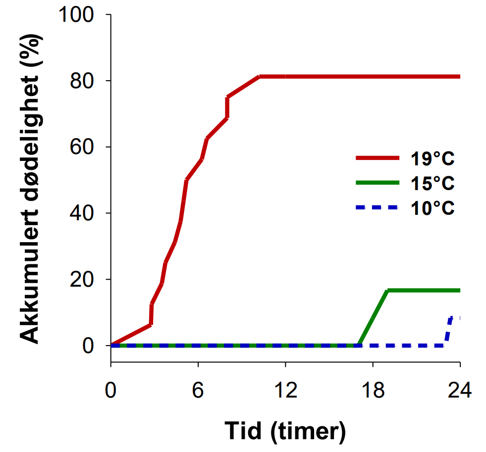 Figur 3.8. Stressrelatert dødelighet hos stor laks ved forskjellige temperaturer. Figuren viser dødelighet hos Atlantisk laks på ~5 kg holdt ved forskjellige temperaturer etter å ha blitt utsatt for akutt håndteringsstress og innesperringsstress. Stor laks er mer oksygenbegrenset under stress ved høye temperaturer. Dette øker sannsynligheten for dødelighet i tiden etter akutt stress, for eksempel etter avlusningsoperasjoner (Modifisert fra Hvas et al. (2025)).