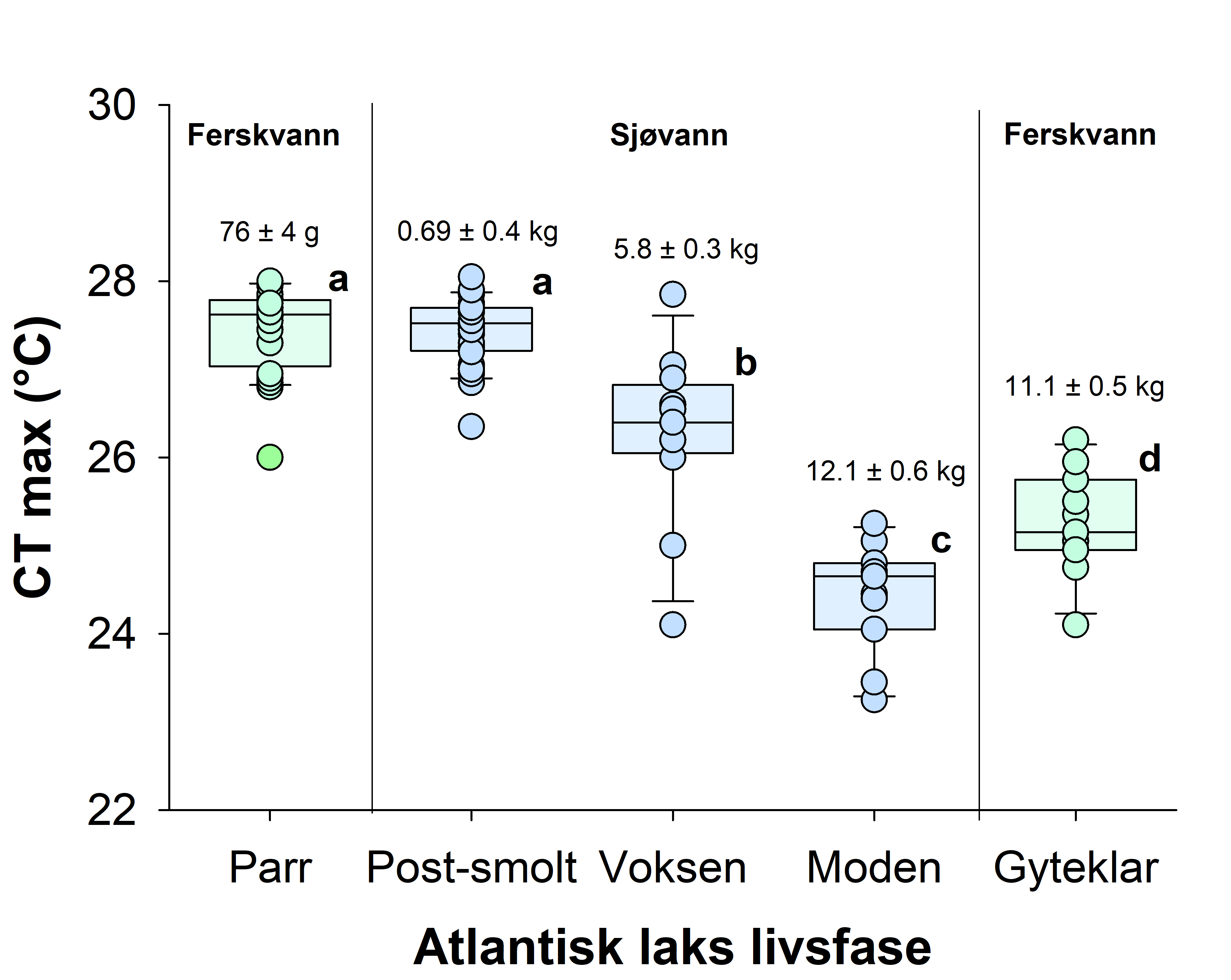 Figur 3.7. Akutte terskelverdier for høy temperatur hos Atlantisk laks på ulike livsstadier. Her vist som kritiske termisk maksimum (CT max). Ved måling av CT max varmes vannet opp med en jevn hastighet (her med 3 °C per time) inntil fisken mister likevekt. Alle gruppene var blitt akklimatisert til 10 °C i minimum 2 uker før testen. Snittvekten til hver gruppe er vist på figuren. Stor laks på flere kg har generelt dårligere toleranse for høy temperatur (Hvas et al. in prep.).

