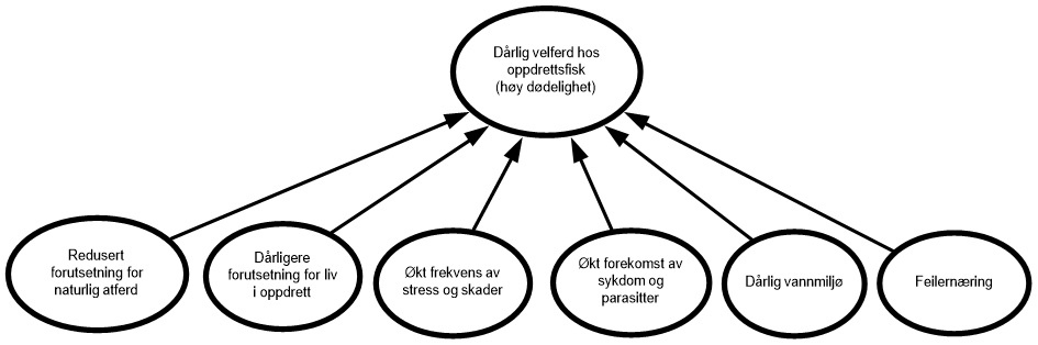 Figur 3.9. Redusert velferd hos oppdrettslaks som følge av komprimering av de seks grunnleggende behov.