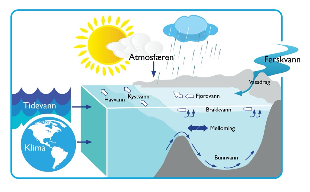 Figur 2.3. Skjematisk fremstilling av de ulike vannmassene i en fjord og hvordan ytre drivkrefter (ferskvann, atmosfæren, tidevann og klima) påvirker disse.