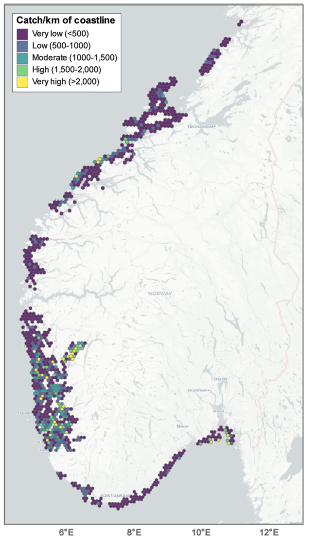 Statiske kart over fisketrykket i det norske kommersielle leppefiskefiskeriet ved 5 km polygonoppløsning i 2023. Total KPK (fangst per kystkilometer) for alle arter samlet. Fisketrykket var konsentrert til kystnære områder med unntak av Hardangerfjorden.