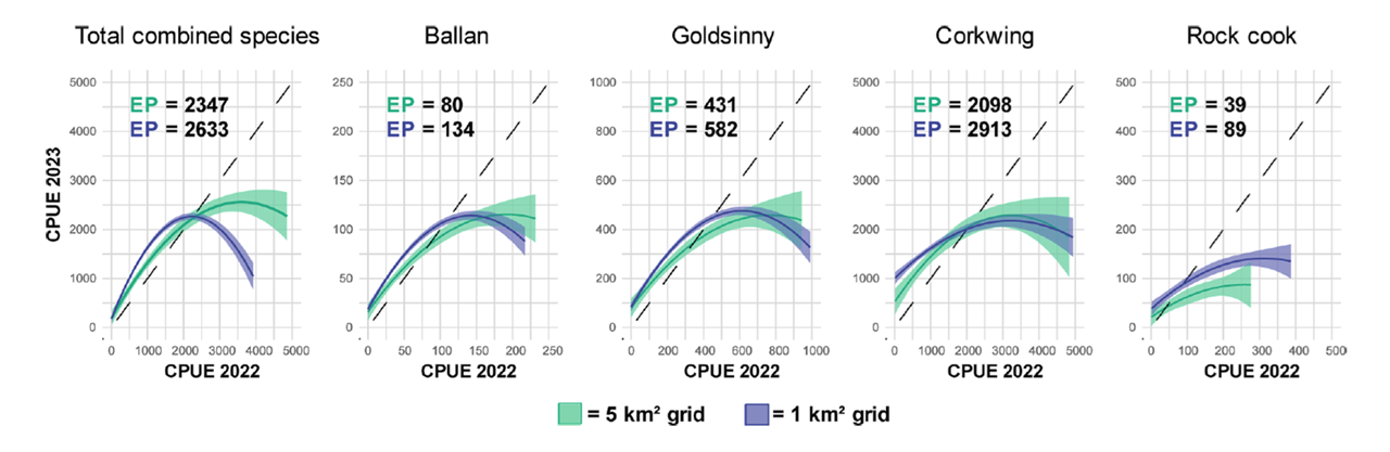 Sammenheng mellom av CPUE (antall fisk fanget per km AIS-spor) i det norske leppefiskfisket mellom år for alle arter på 1 og 5 km polygon. EP = likevektspunkt. Fra Guidos et al. 2025.